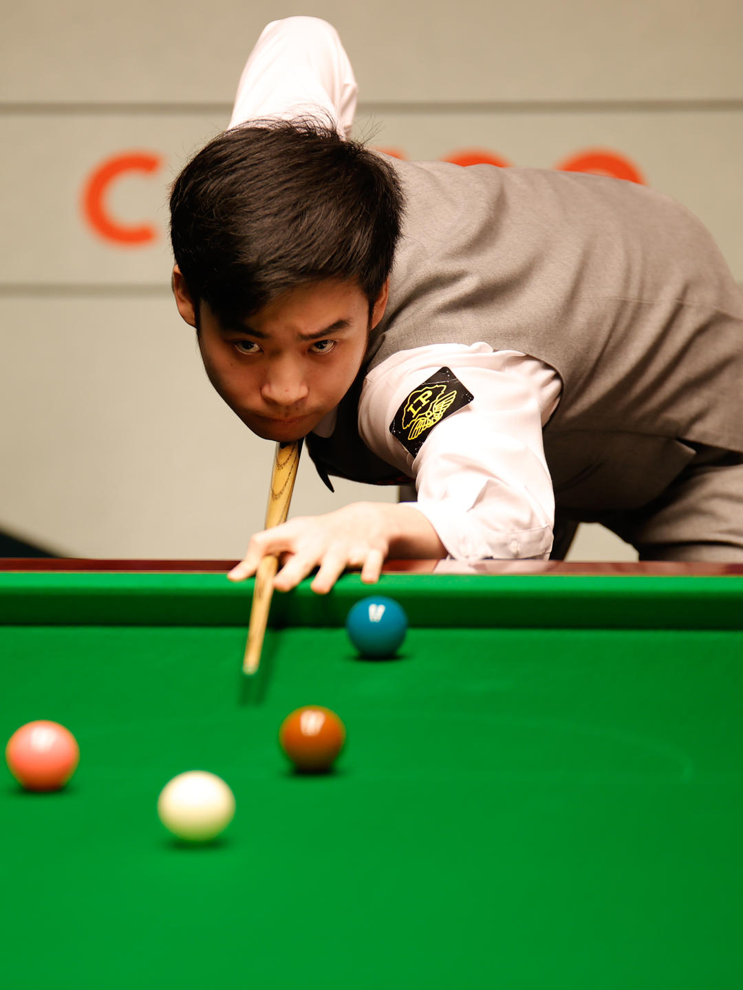 灰熊提前腾 灰熊提前腾